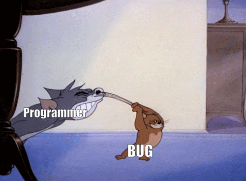 Первый bug